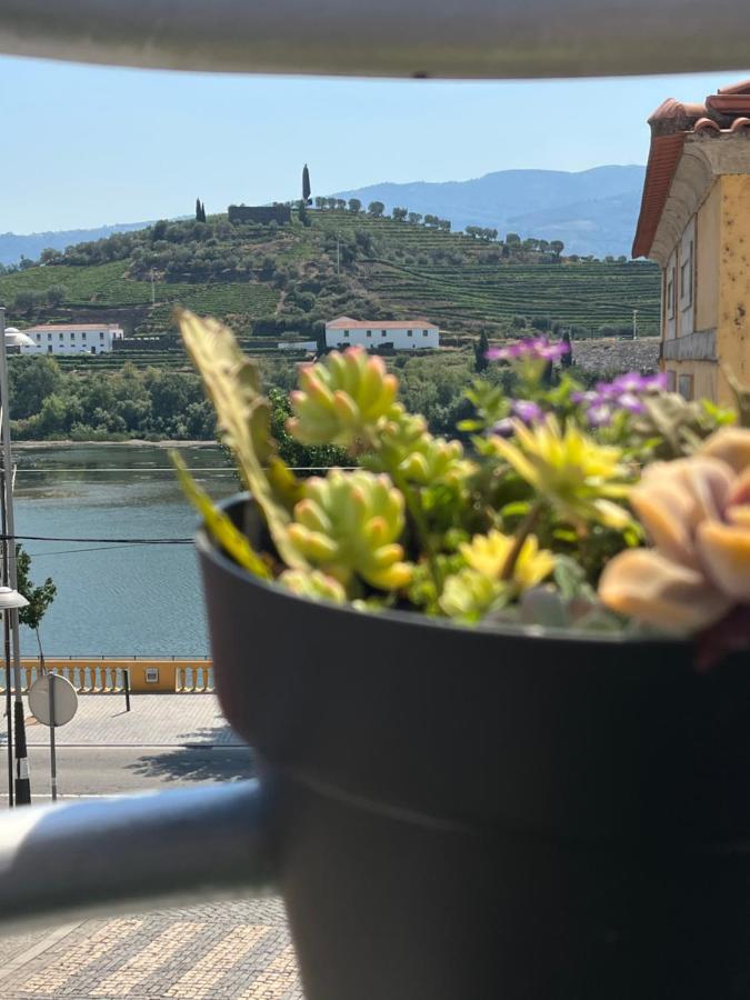 Alojamento Joaninha Douro 2 페소다레과 외부 사진